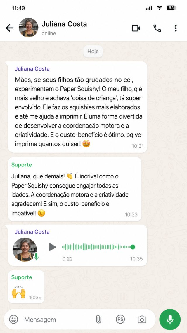 Depoimento de WhatsApp da Juliana Costa sobre o Paper Squishy