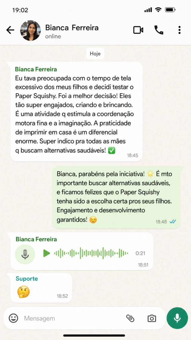 Depoimento de WhatsApp da Bianca Ferreira sobre o Paper Squishy