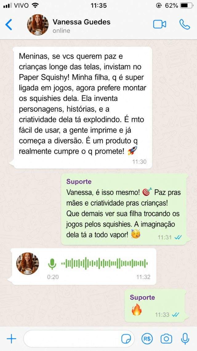 Depoimento de WhatsApp da Vanessa Guedes sobre o Paper Squishy