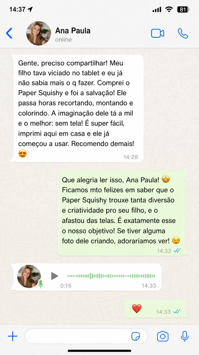 Depoimento de WhatsApp da Ana Paula sobre o Paper Squishy